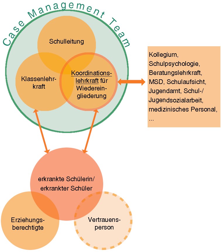 grafische Darstellung des Case Managements mit Koordinationslehrkraft und Vertrauensperson